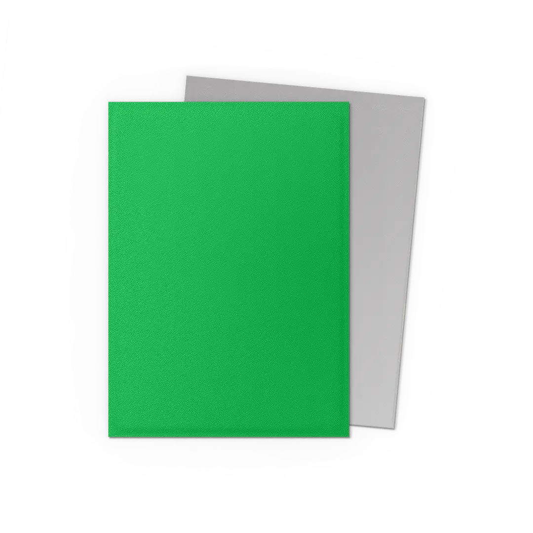 Apple Green & Silver - Matte Dual Sleeves