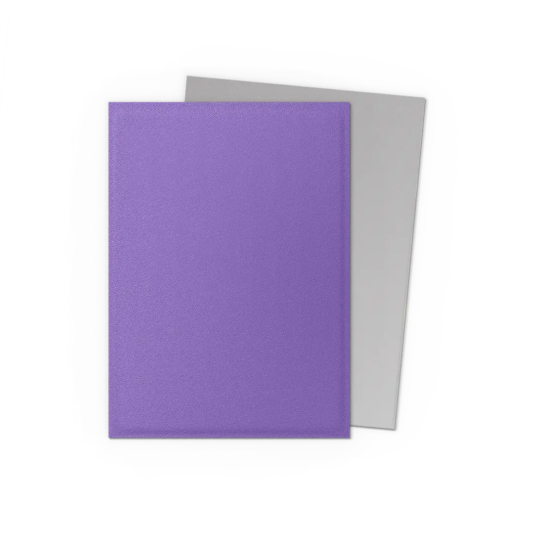 Nebula & Silver - Matte Dual Sleeves